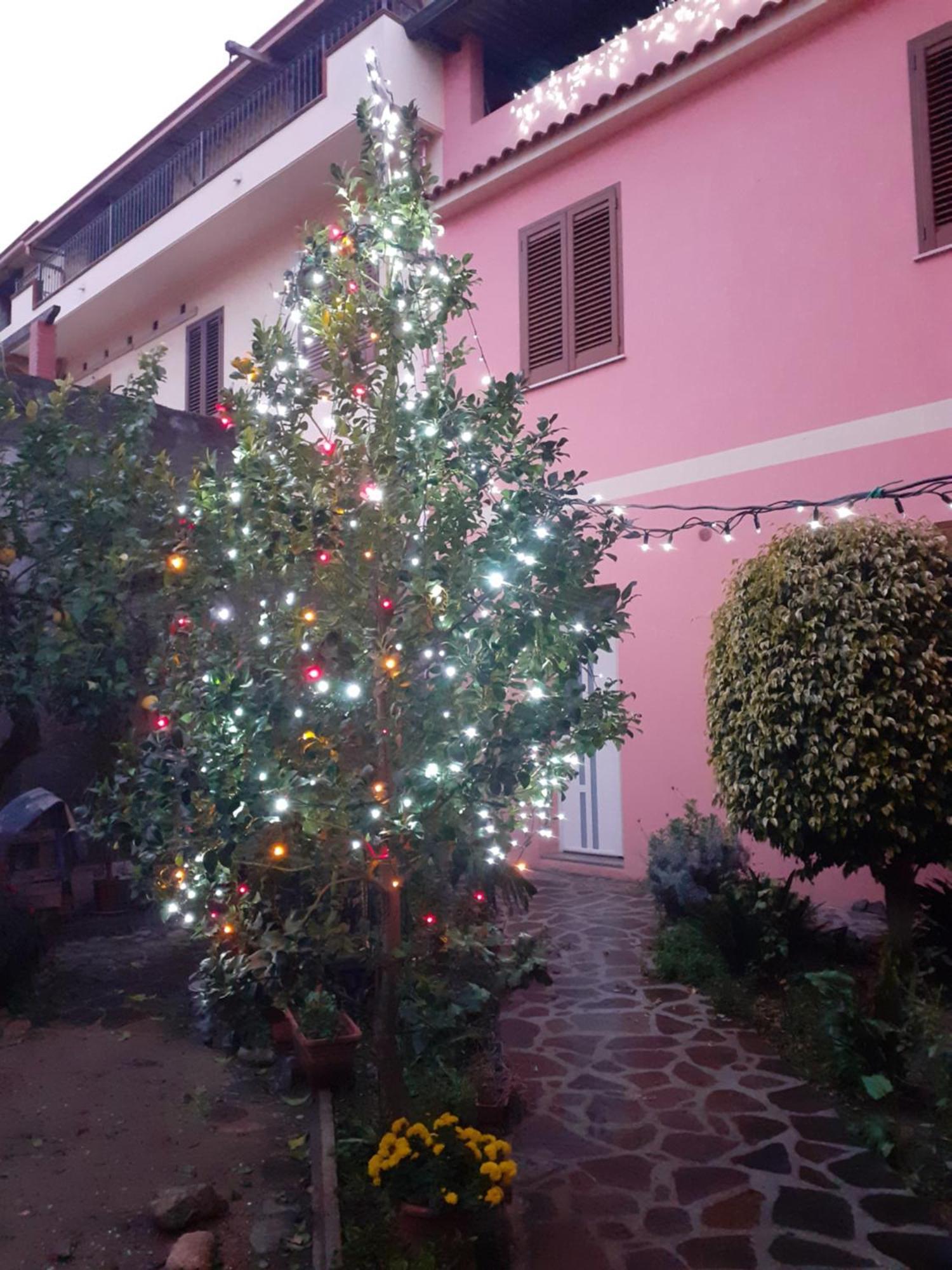 Bed and Breakfast L'Agrifoglio Di Emy Guspini Zewnętrze zdjęcie