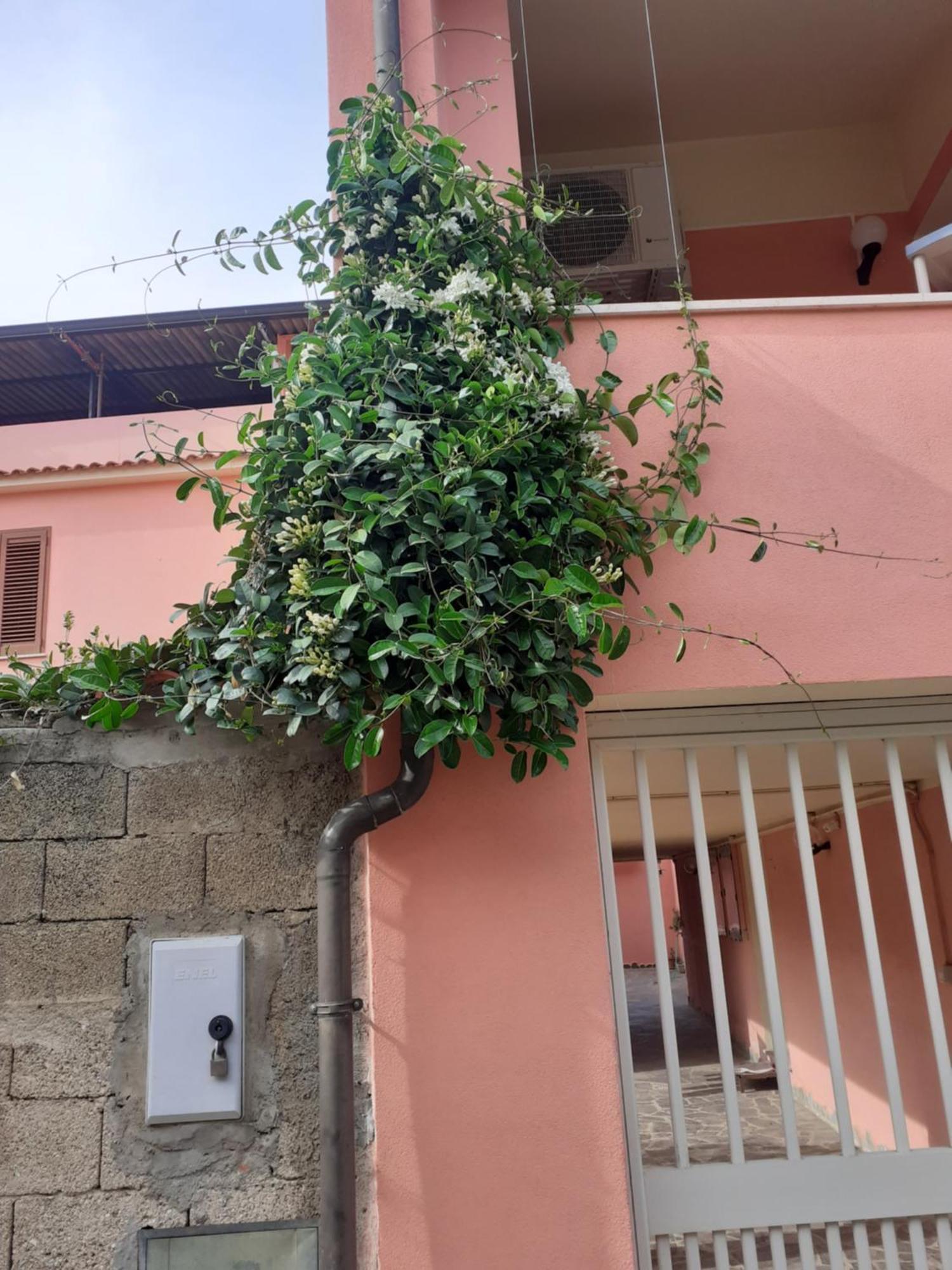 Bed and Breakfast L'Agrifoglio Di Emy Guspini Zewnętrze zdjęcie